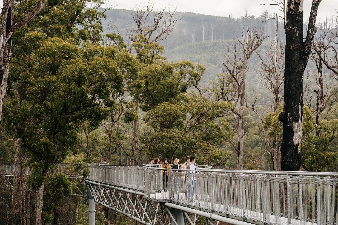 Tahune Airwalk Cabin And Lodge Geeveston Exterior photo