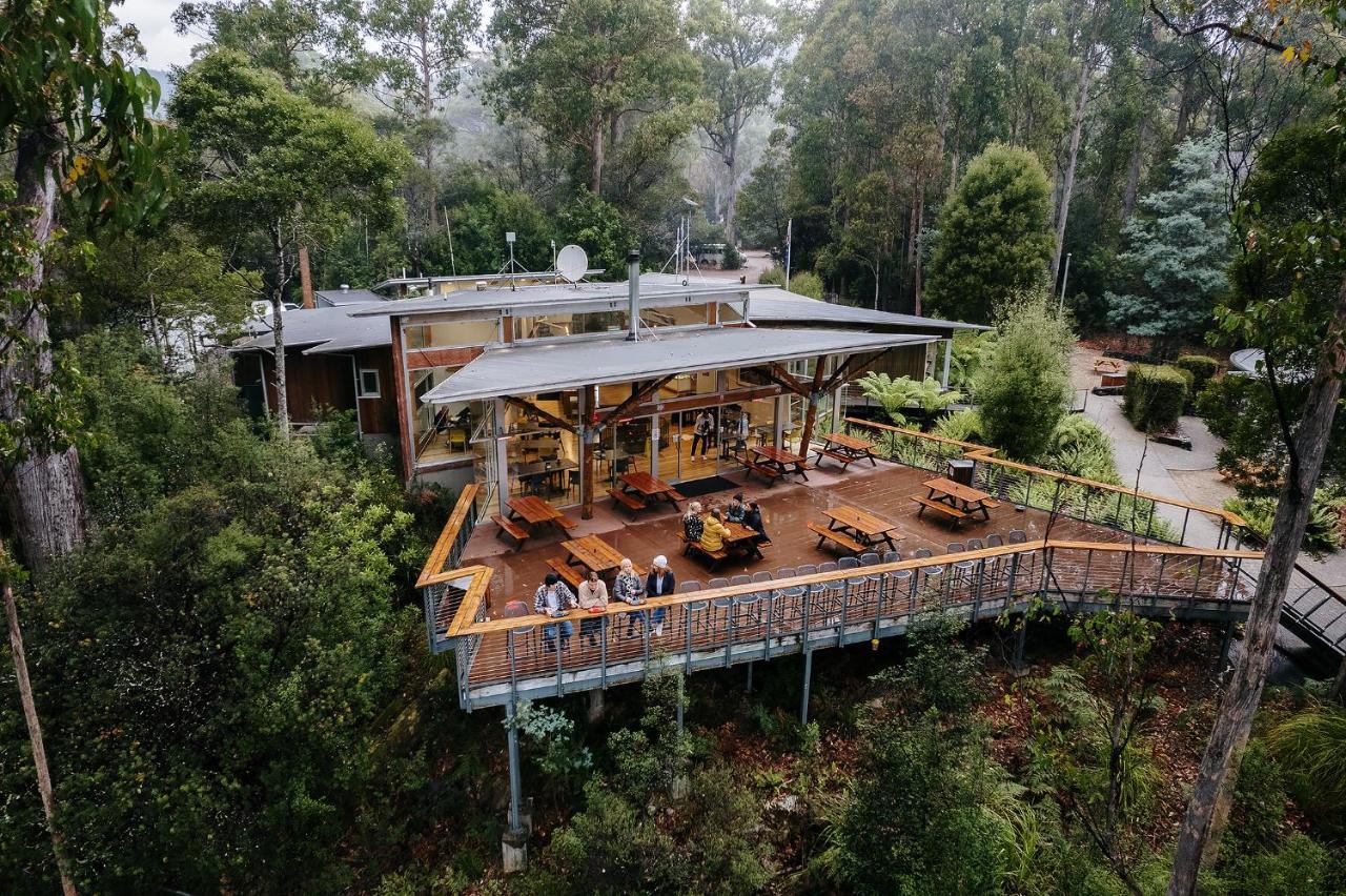 Tahune Airwalk Cabin And Lodge Geeveston Exterior photo