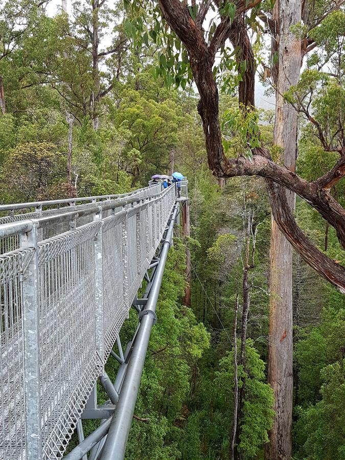 Tahune Airwalk Cabin And Lodge Geeveston Exterior photo