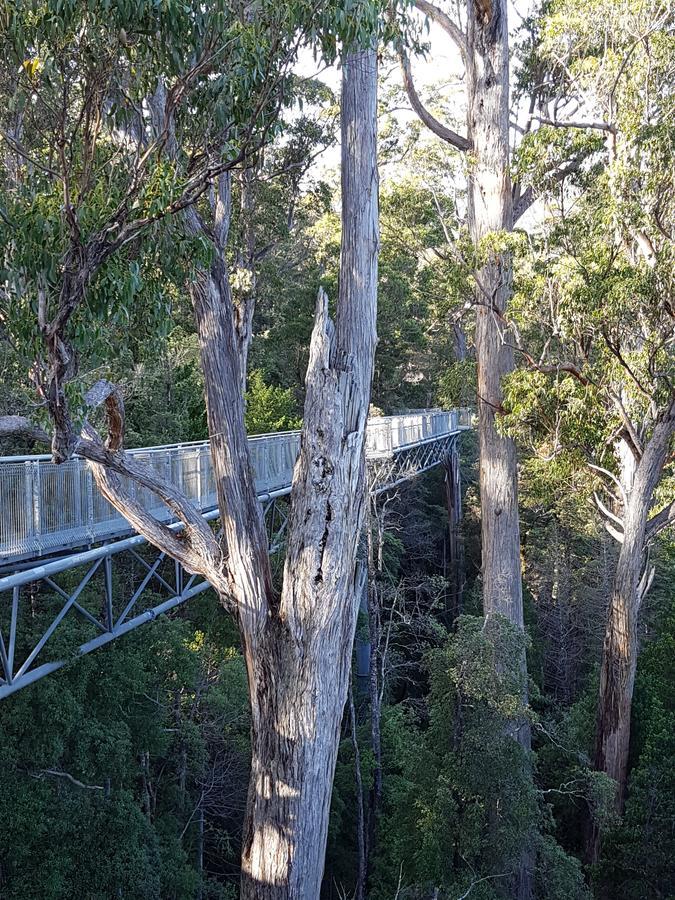 Tahune Airwalk Cabin And Lodge Geeveston Exterior photo
